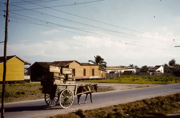 Dat nuoc Cuba nhung nam 1950 qua anh-Hinh-4